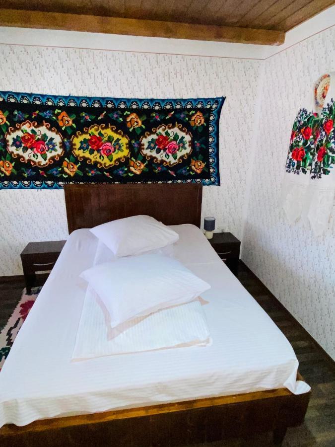 Floare De Maramures 1 Vadu Izei Exterior photo